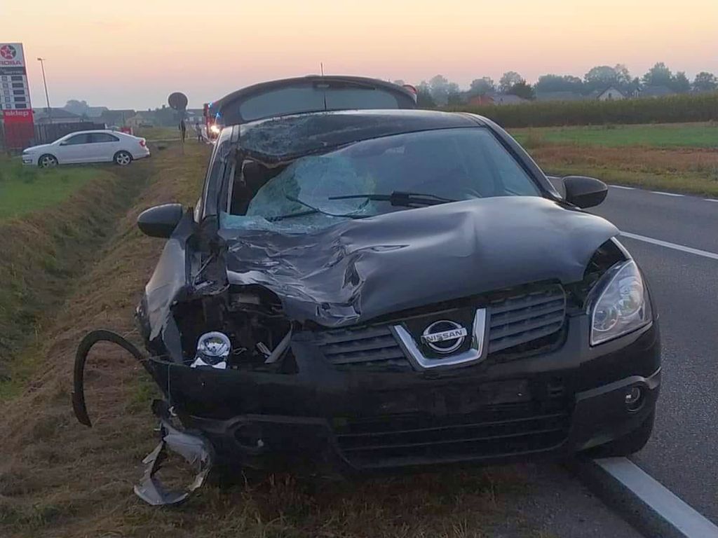 Koń padł po zderzeniu z autem, Czerśl , powiat łukowski, OSP Dąbie