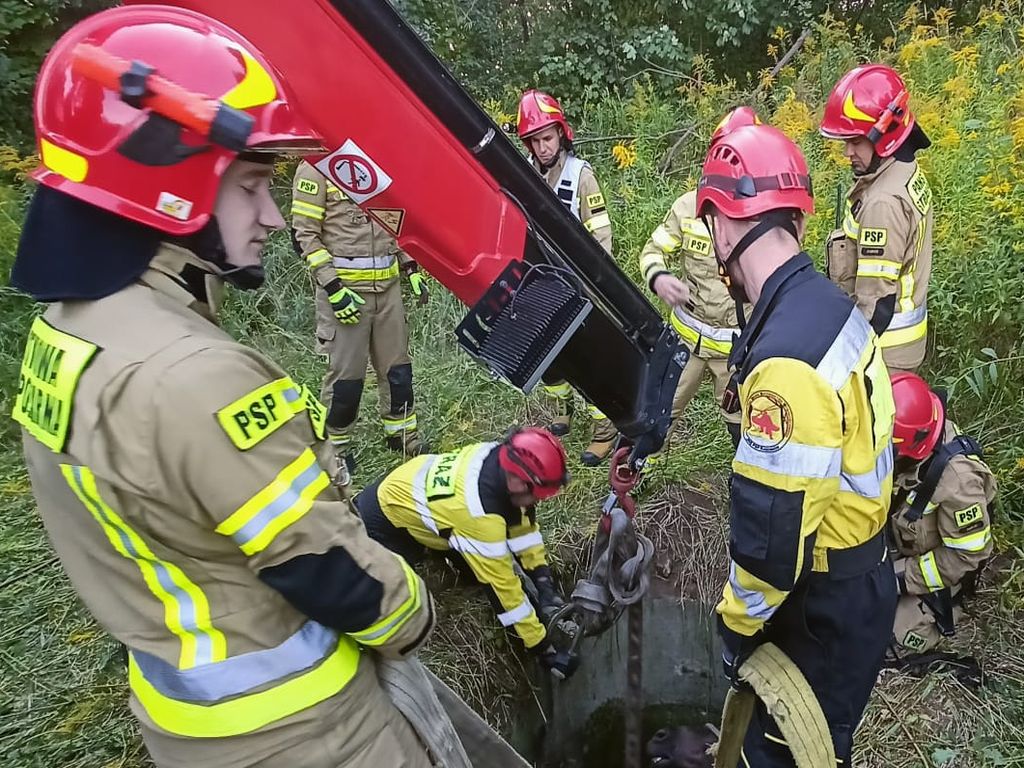 koń wpadł wpadł do studzienki kanalizacyjnej, KM PSP Zabrze, Zabrze