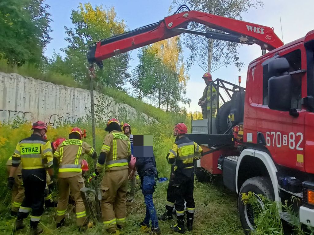 koń wpadł wpadł do studzienki kanalizacyjnej, KM PSP Zabrze, Zabrze