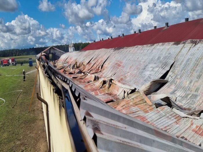 pożar kurnika, Młyny, zawalił się dach kurnika, KP PSP w Mogilnie