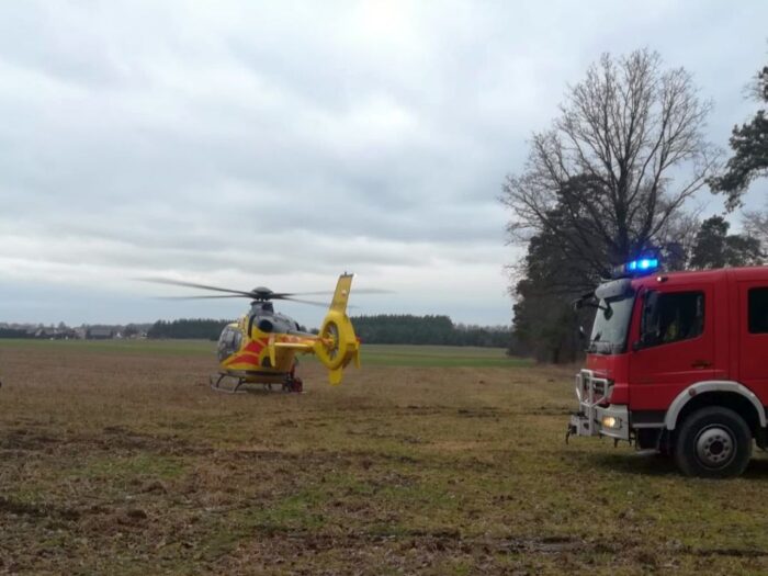 Wypadek przy wycince drzew, gmina Rybczewice, KPP w Świdniku, Elwira Domaradzka