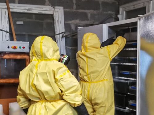 produkcja narkotyków w gospodarstwie, Piotrków Trybunalski, CBŚP
