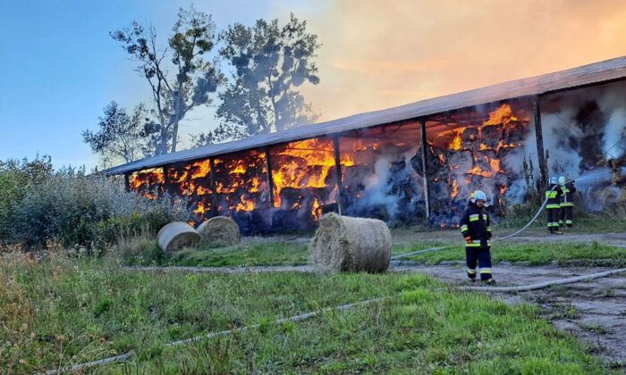 Stado Ogierów w Łącku, pożar słomy i siana, Wojciech Muczyński, Krystyna Kowalska