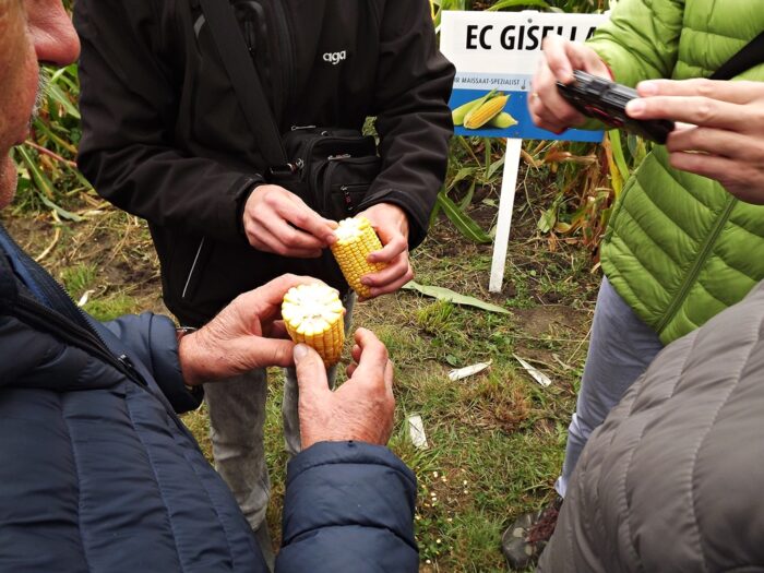 Dzień kukurydzy i sorga w Osinach, powiat puławski, Paweł Bereś, Dorota Pikuła, Tadeusz Michalski