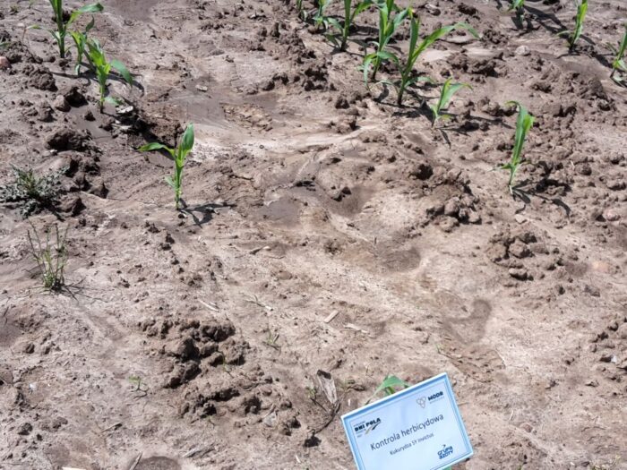 stosowanie środków ochrony roślin, Marian Sikora, FBZPR, pestycydy, bezpieczeńastwo żywnościowe.