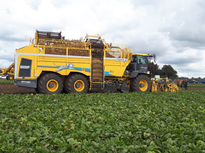 kombajn buraczany, buraki, pole