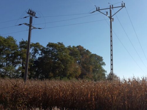 produkcja prądu z biomasy, biomasa, NIK, URE, OZE