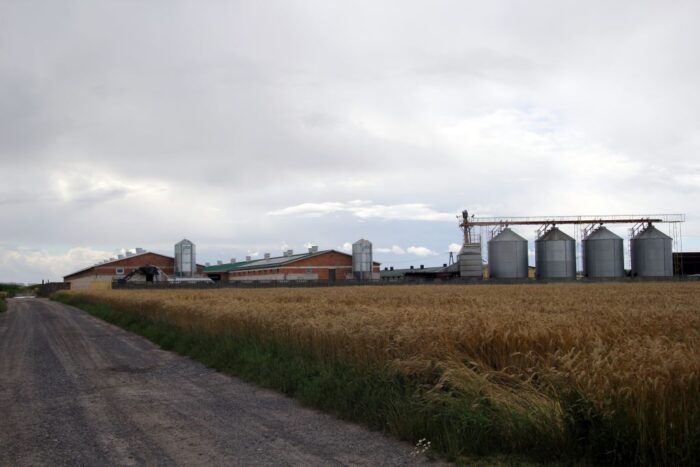 tuczarnia, tuczniki, obora, Big Dutchman, tucz, betonowe ruszta, tubomaty, poidła, wloty powietrza, wanny na gnojowicę