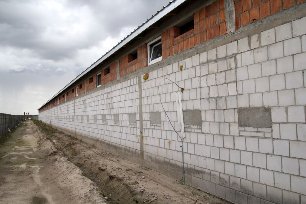 tuczarnia, tuczniki, obora, Big Dutchman, tucz, betonowe ruszta, tubomaty, poidła, wloty powietrza, wanny na gnojowicę