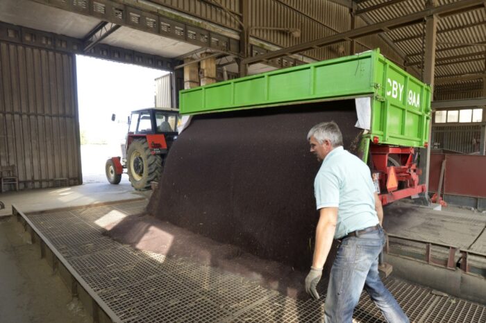 Juliusz Młodecki, Polska Koalicja Biopaliw i Pasz Białkowych, biopaliwa, Adam Stępień