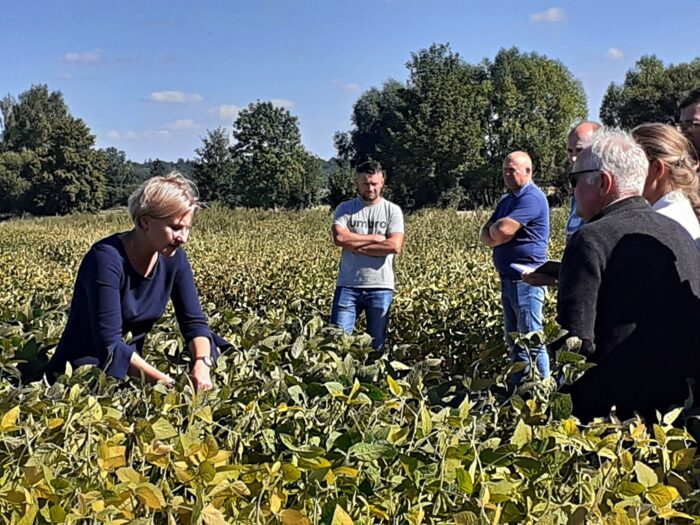 Agroyoumis, Nataliia Sibirtseva, Emilia Fink, uprawa soi, słonecznik