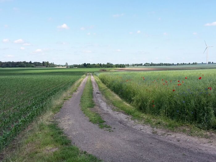 ugory, Krzysztof Ciecórka, wymogi warunkowości, PZPRZ