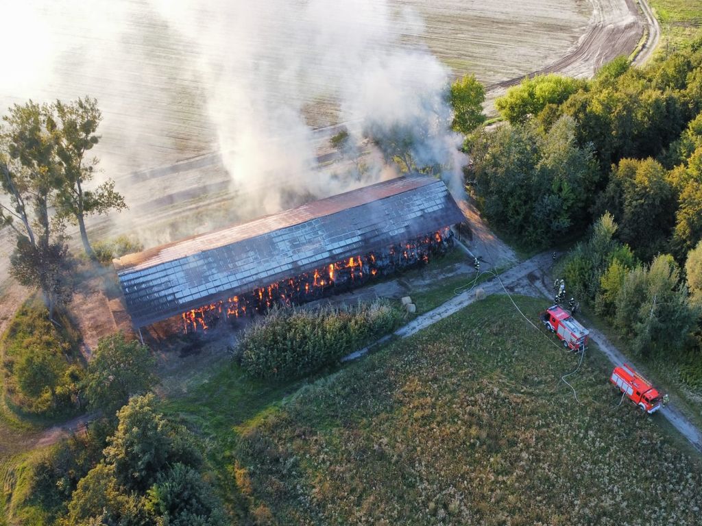 Stado Ogierów w Łącku, pożar słomy i siana, Wojciech Muczyński, Krystyna Kowalska