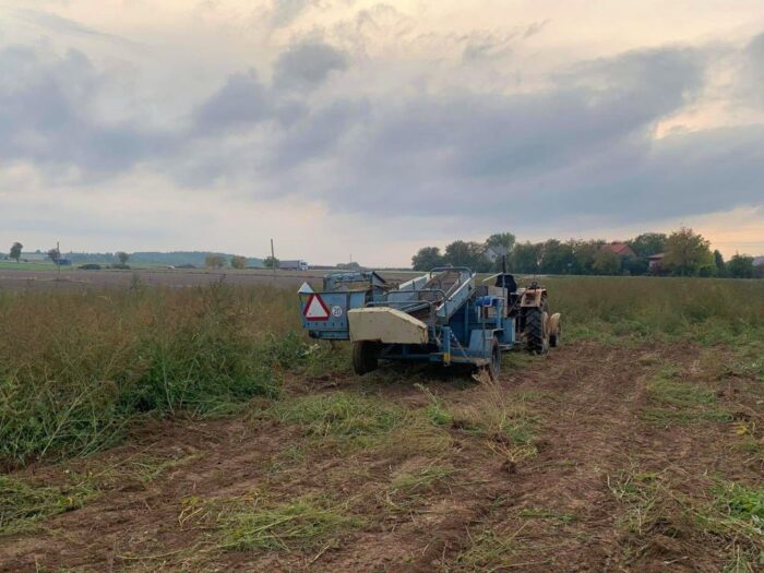 wypadek na wykopkach, kombajn wciągnął nogę kobiecie, Zakrzów, powiat sandomierski