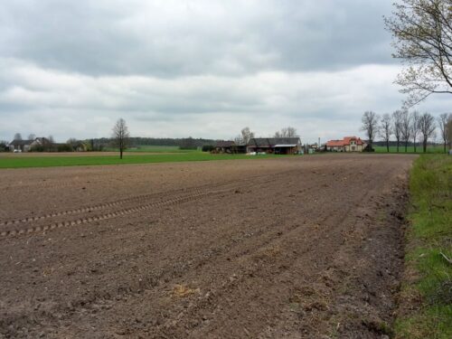 nawożenie, NIK, raport, gleba, uprawa, badanie gleby