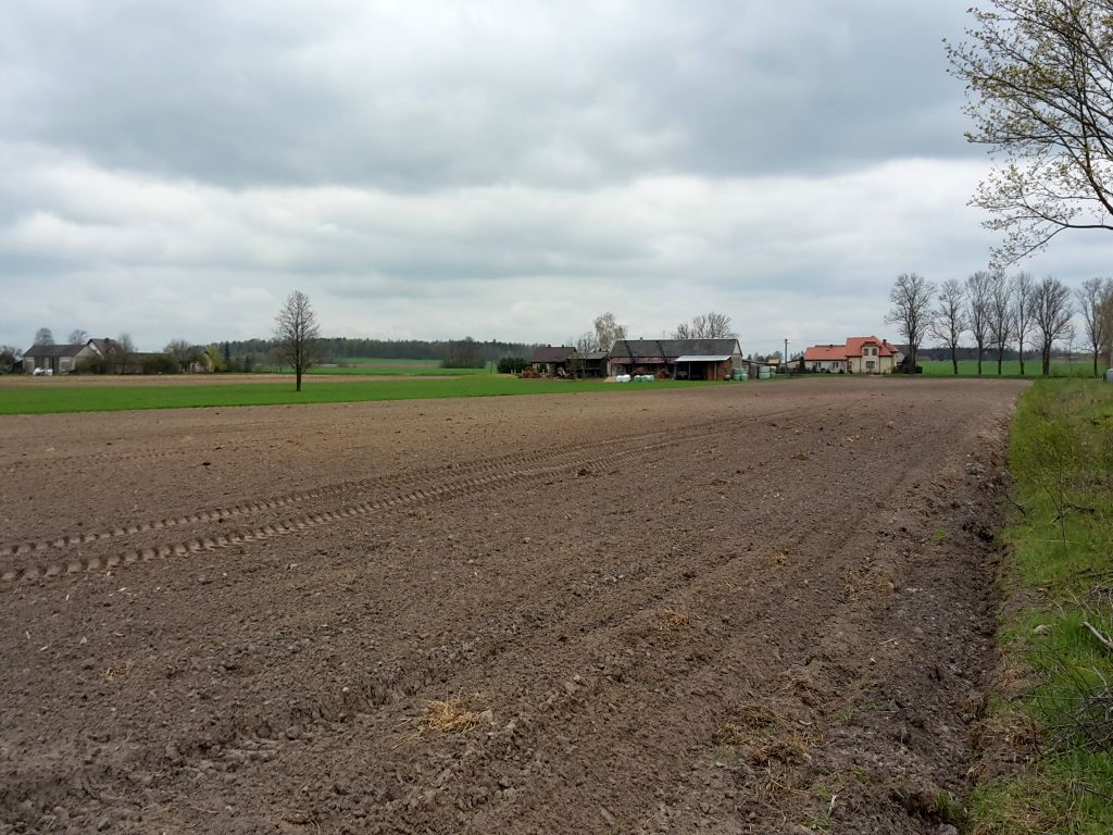 nawożenie, NIK, raport, gleba, uprawa, badanie gleby