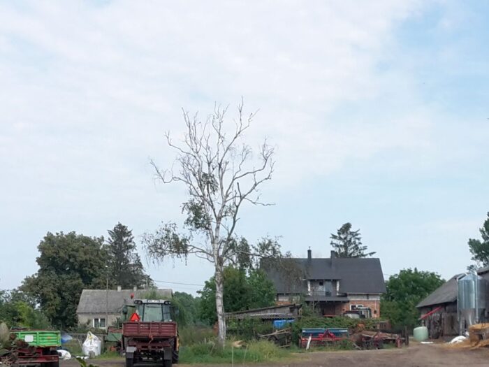 gospodarstwo, rolnicy, budżet