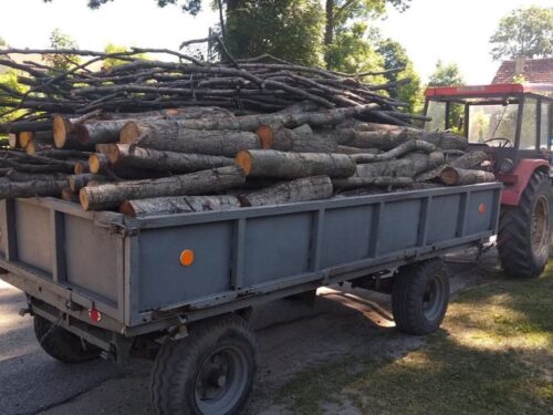 chrust na opał, Edward Siarka, Lasy Państwowe, samowyrób