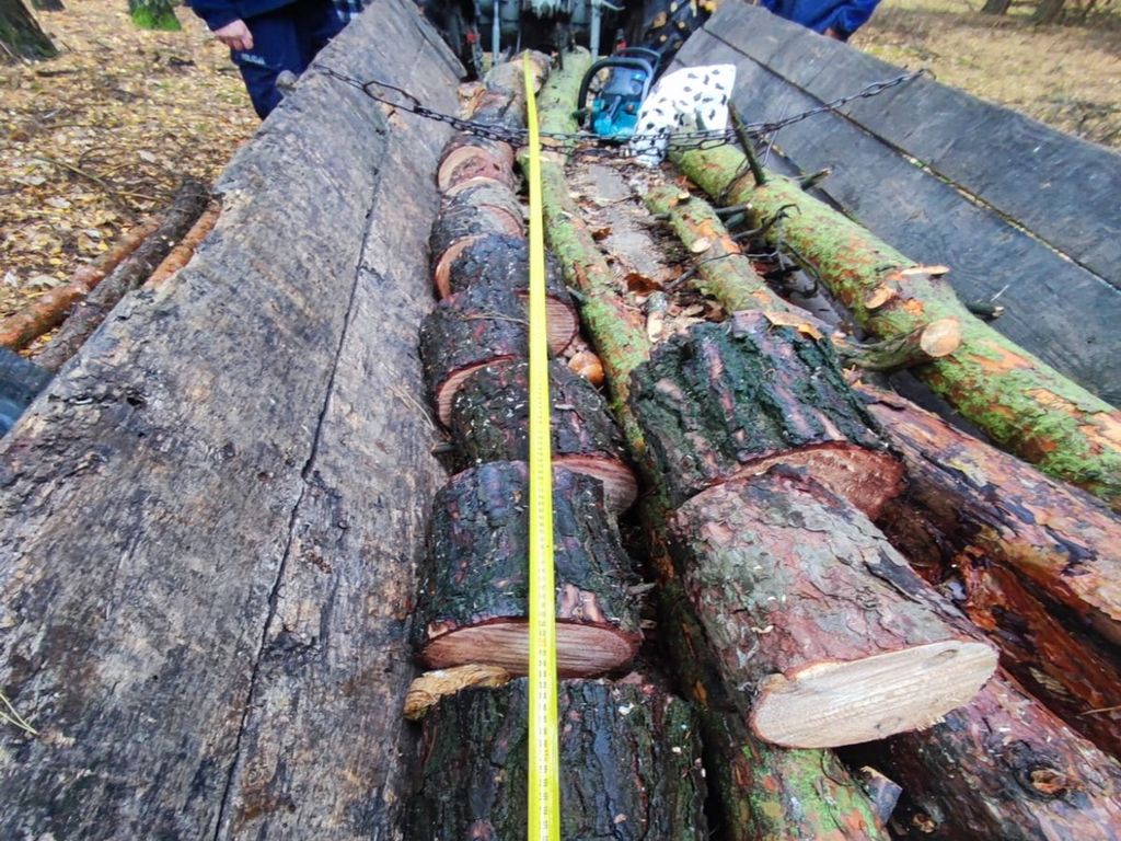 kradzież drewna z lasu, gmina Baranów, Ewa Rejn-Kozak, KPP Puławy