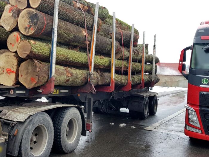 Branża drewna, Lasy Państwowe, ceny drewna, eksport drewna, produkcja mebli