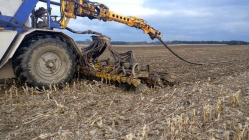 KZP-PTCH POLPIG, trzoda chlewna, branża trzodowa, hodowcy świń, strategia sektora wieprzowiny, nawozy naturalne