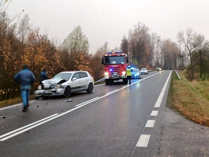 krowa wbiegła na drogę, Kozaki, Regiele, KWP Olsztyn