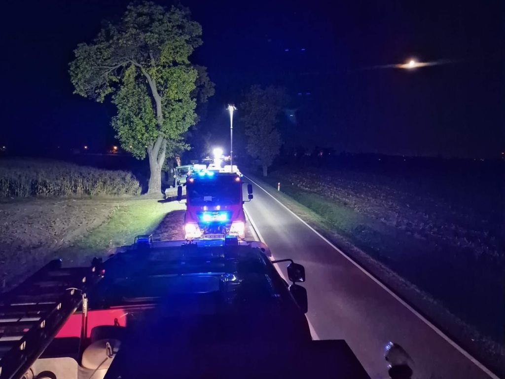 plama ojelu na drodze, wyciek oleju z kosiarki, Mchowo