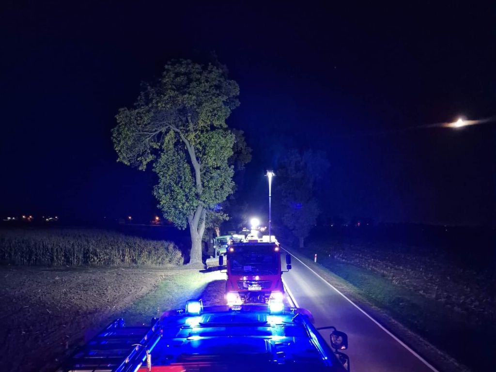 plama ojelu na drodze, wyciek oleju z kosiarki, Mchowo