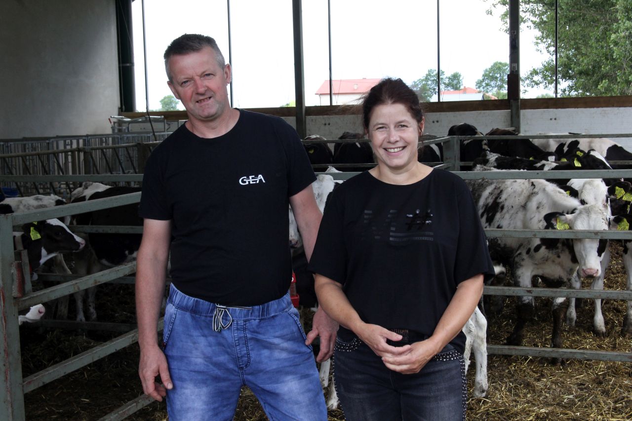 krowy mleczne, cielęta, robot udojowy, robot do podgarniania paszy, Gea Farm Technologies, PMR, rękaw wentylacyjny