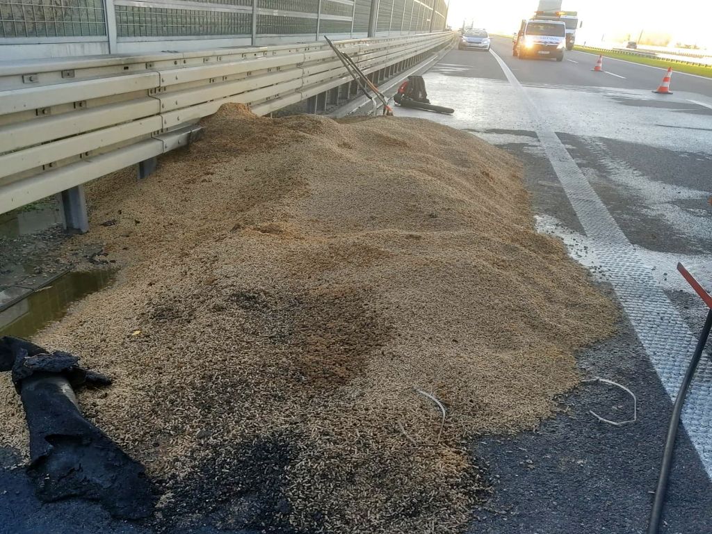 pożar samochodu paszą dla zwierząt hodowlanych, Gołaszyn, powiat rawicki, Krzysztof Skrzypczak