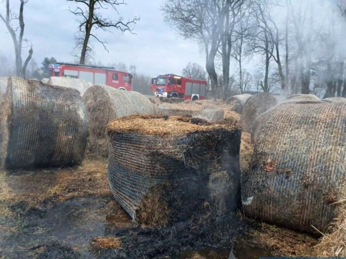 nastolatek podpalał trawy i baloty, Roztoki , powiat jasielski, KPP w Jaśle