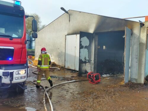 pożar obory, Dalki, hodowla bydła, powiat gnieźnieński, KP PSP Gniezno