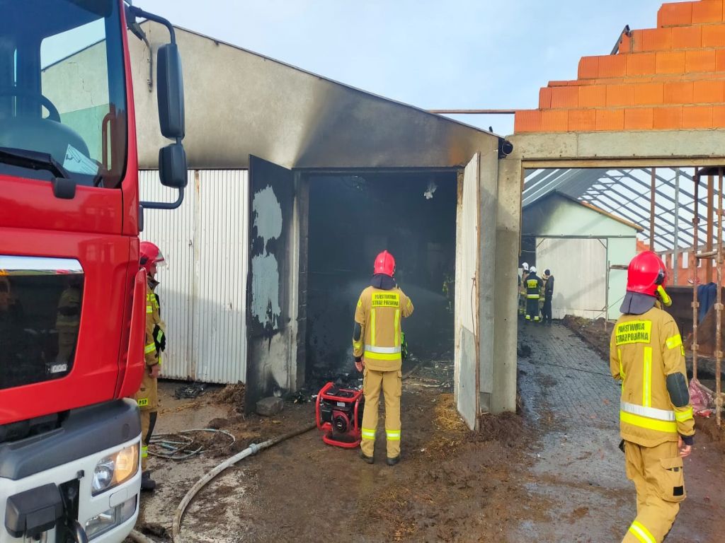 pożar obory, Dalki, hodowla bydła, powiat gnieźnieński, KP PSP Gniezno