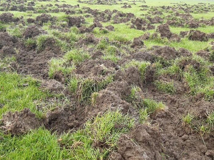 odszkodowania za szkody łowieckie, Prawo łowieckie, Edward Siarka