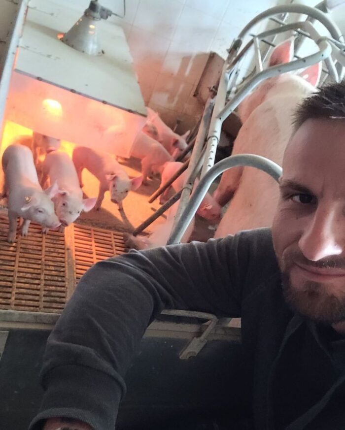 Instytut Zdrowia i Hodowli Trzody Chlewnej sp. z o.o., produkcja tuczników, warchlaki, hodowla świń,