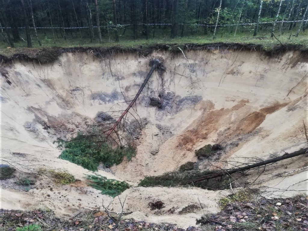zapadliska w lesie, Nadleśnictwo Olkusz, Lasy Państwowe,