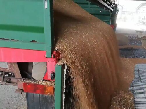 KRIR, kryzys w rolnictwie, koszty produkcji rolnej, dopłaty do nawozów, ziarno z Ukrainy