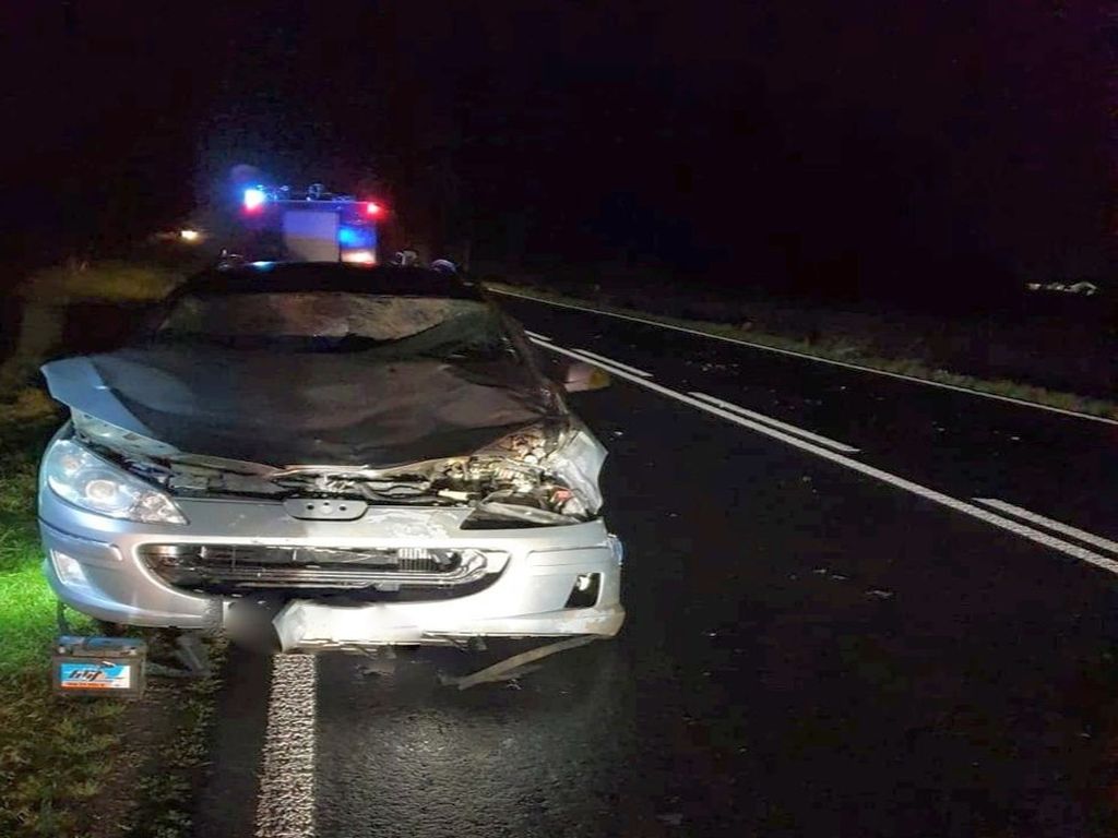zderzenie auta z żubrem, Mszanna, Nina Zaniewicz, KP PSP Łosice
