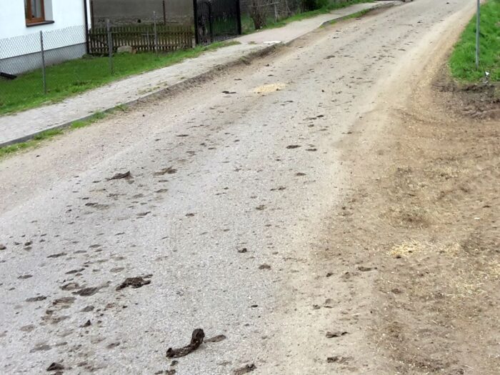 obornik na drodze, mandat za zanieczyszczenie drogi, Prosienica, Marzena Laczkowska, KPP w Ostrowi Mazowieckiej