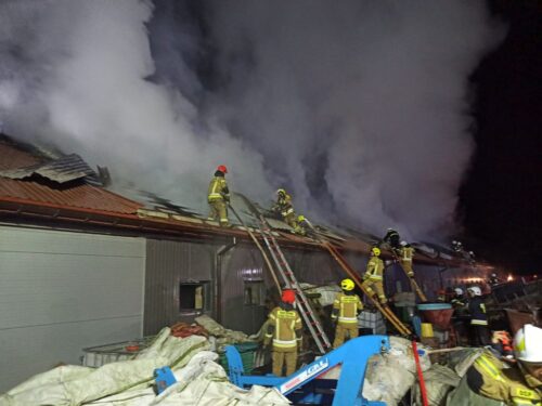 pożar chlewni, Przeździecko-Mroczki , powiat  zambrowski, pożary w gospodarstwach