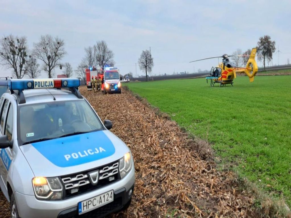 wycinka drzewa na polu, gmina Radziejów, KPP Radziejów, Marcin Krasucki