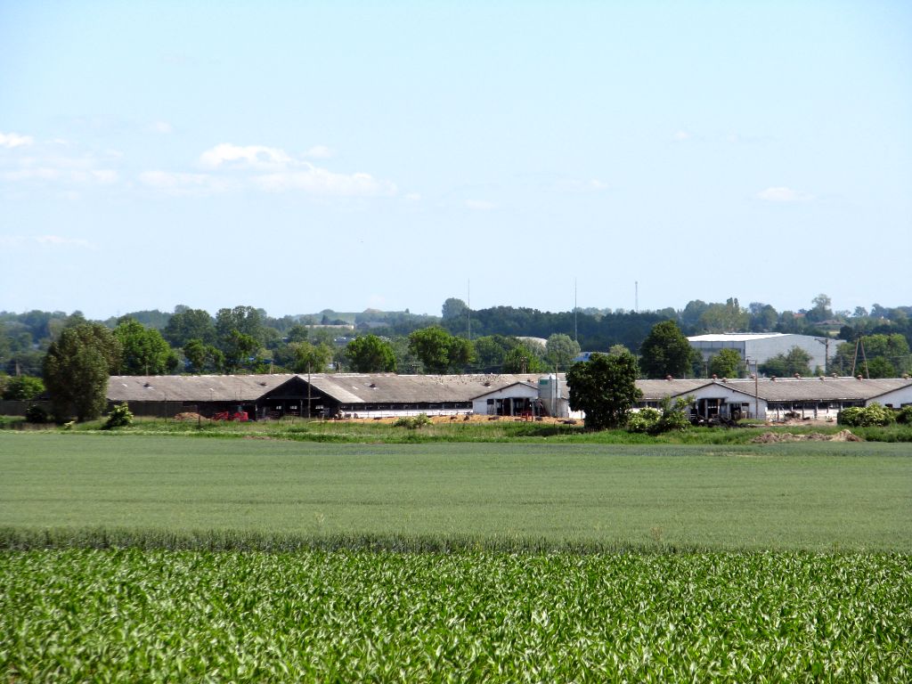 Krajowy Plan Strategiczny dla WPR 2023-2027, dopłaty bezpośrednie, wsparcie dla rolnictwa, ekoschematy