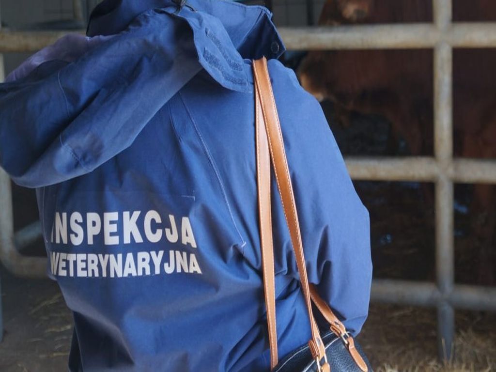 protst lekarzy weterynarii, Komitet Protestacyjny Porozumienia Warszawskiego