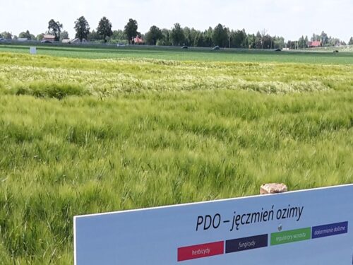 Polski Związek Producentów Roślin Zbożowych, dopłaty do materiału siwenego, Lech Kołakowski