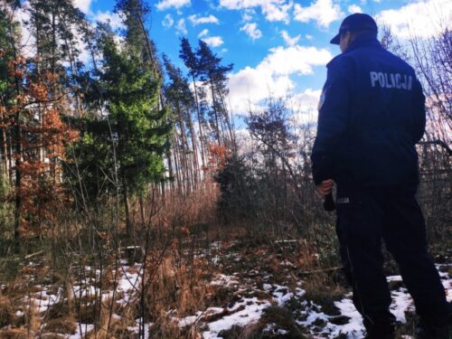 myśliwy zastrzelił łosie, Grądy-Woniecko, powiat zambrowski, Tomasz Krupa