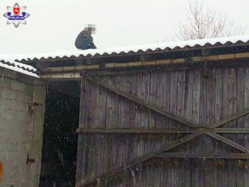 poszukiwany uciekł na dach, gmina Firlej, powiat lubartowski, Jagoda Stanicka