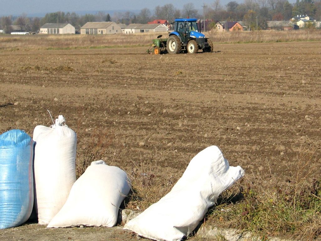 dopłaty do materiału siewnego, KRIR, mieszanki pastewne, rośliny strączkowe, ziemniaki