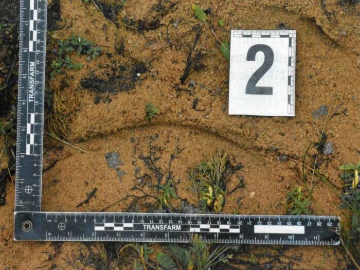 Kradł paliwo z maszyn rolniczych, gmina Pisz, KPP Pisz, olej napędowy