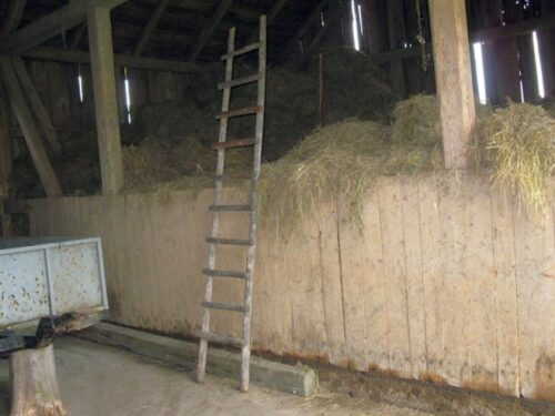 wypadki przy pracy rolniczej, choroby zawodowe rolników, KRUS, upadek osób