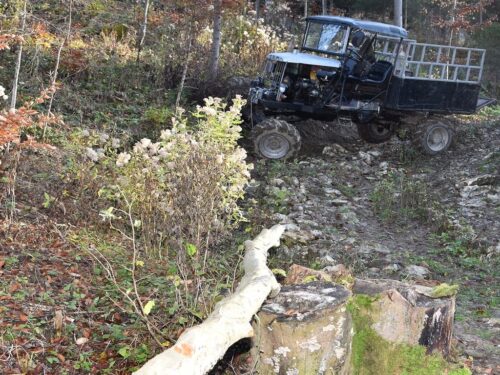 wycinka drzew w lesie, Szczawnica, powiat nowotarski, GOPR Szczawnica